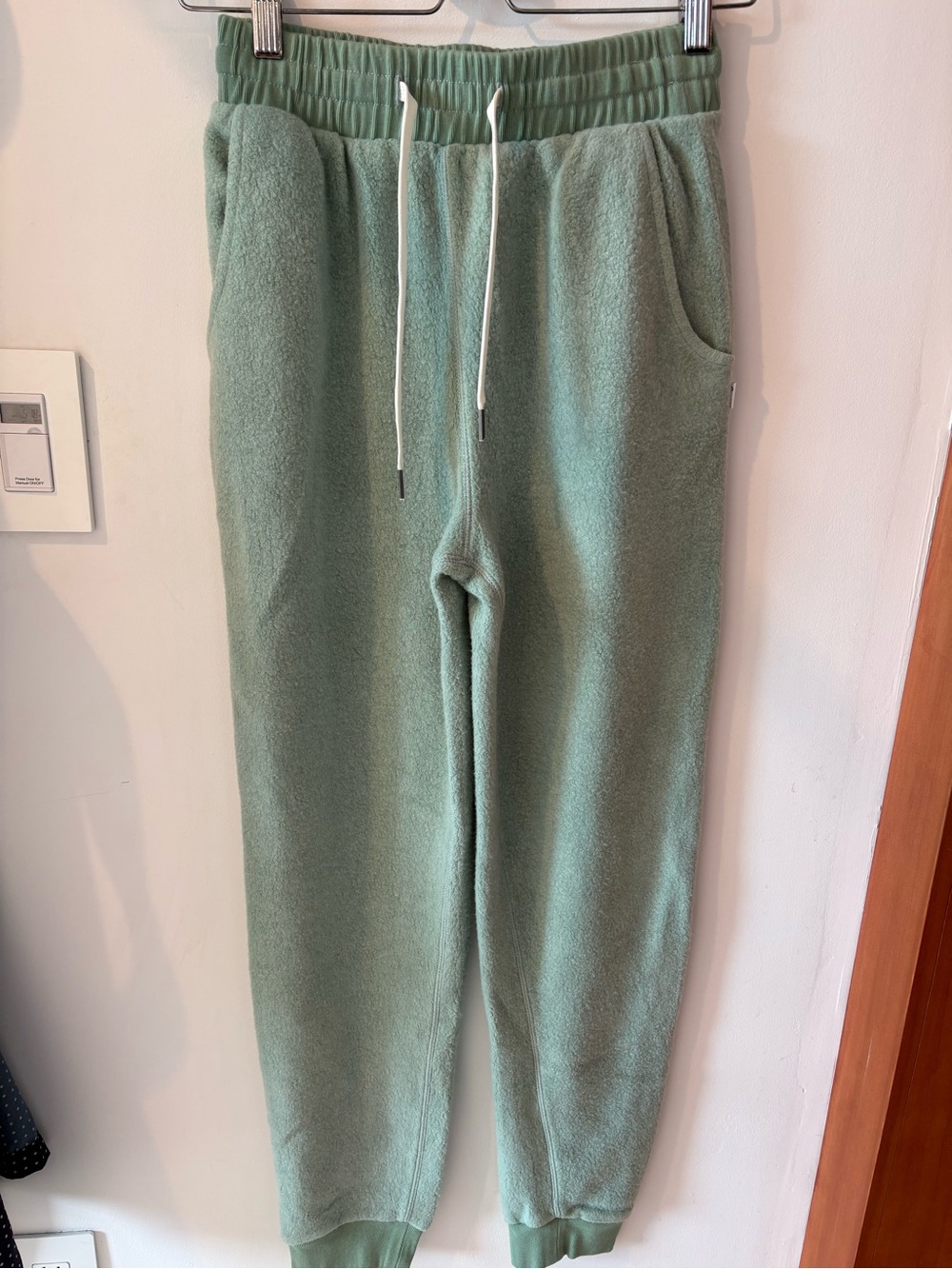 Women's Plush Jogger Pants in Sage Green NWT Feat